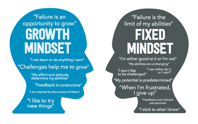 fix-vs-growth_mindset_visual