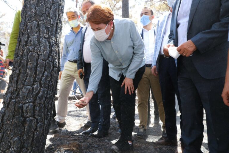 Akşener: Orman yangınlarına yönelik pek çok söylenti var